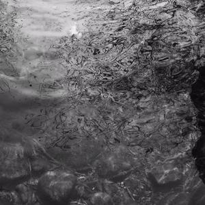 黑巨人和白人美女做爱
